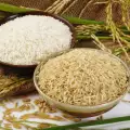 Some History of Rice