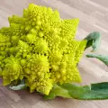 Romanesco Broccoli