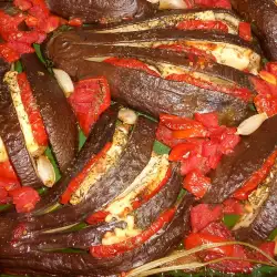Eggplant Fan with Tomatoes