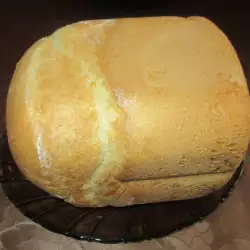 Plain Bread in a Bread Maker