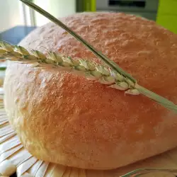 Rustic Bread with Yeast in a Furnace