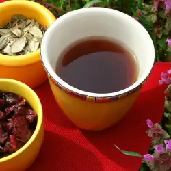 Cranberry Tea for Healthy Urinary Tract
