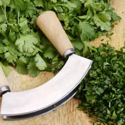 Which Vegetables and Ingredients Go Well with Coriander?