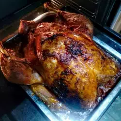 Whole Roasted Turkey