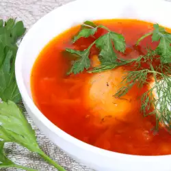 Hungarian Soup