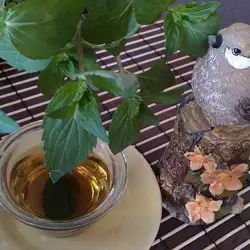 Refreshing Mint and Honey Tea