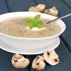 Oyster Mushroom Cream Soup