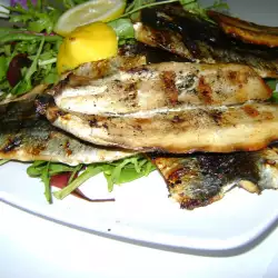 Grilled Herring Fillet with a Salad Mix