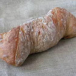 Italian Ciabatta Bread