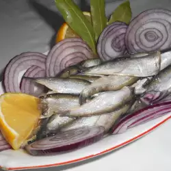 Home-Style Recipe for Marinated Sprat