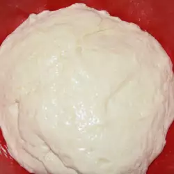 Ageless Dough