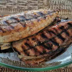 Grilled and Pan-Fried Bonito