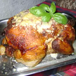 Appetizing Chicken with Parmesan and White Wine