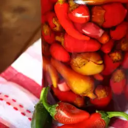 Sunny Pickle with Chili Peppers