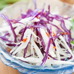 Dutch Salad of Red and White Cabbage