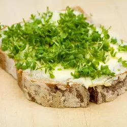 Sandwich with Cottage Cheese Pâté and Spices