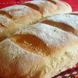 Rustic Bread with Crunchy Crust
