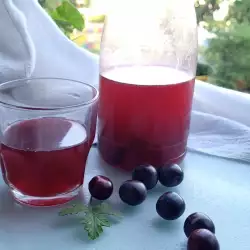 Cherry Plum Syrup