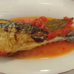 Mackerel with Tomatoes in the Oven