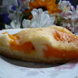 Fine Cake with Apricots
