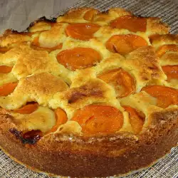 Homemade Cake with Apricots