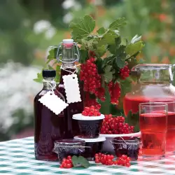 Cold-Style Blackcurrant Syrup