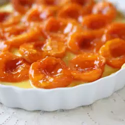Fruit Cake with Apricots