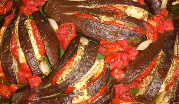 Eggplant Fan with Tomatoes