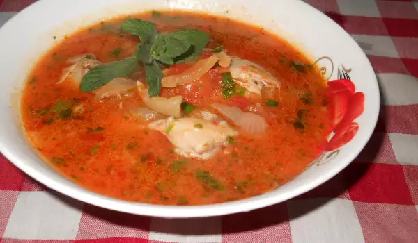Chicken Stew with Spearmint