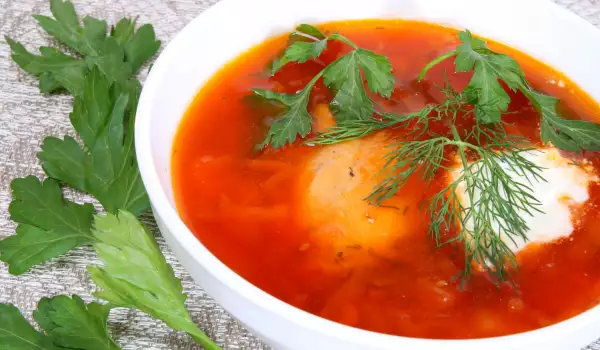 Hungarian Soup