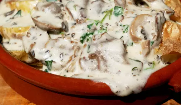 Mushrooms with Fried Potatoes and White Sauce