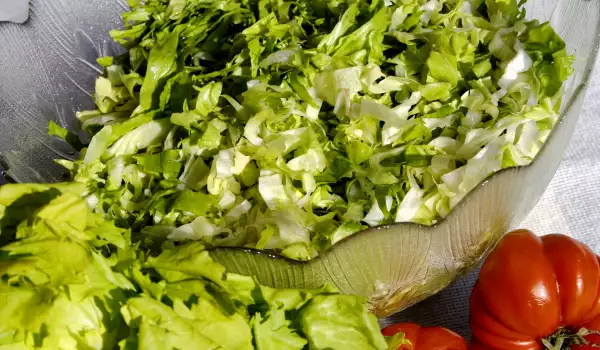 Tasty Lettuce Salad