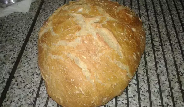 No-Knead Bread with Crunchy Crust