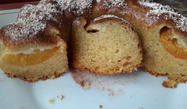 Sponge Cake with Apricots