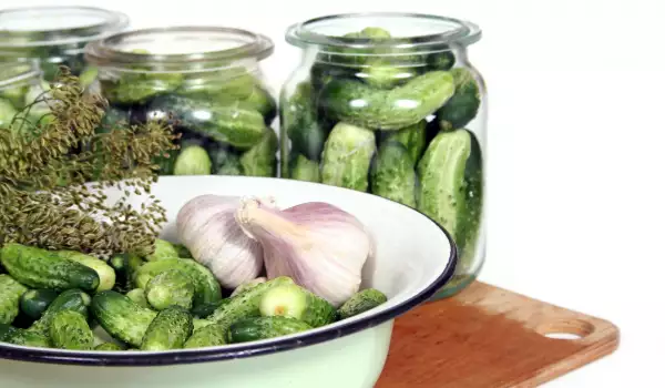Pickled Gherkins