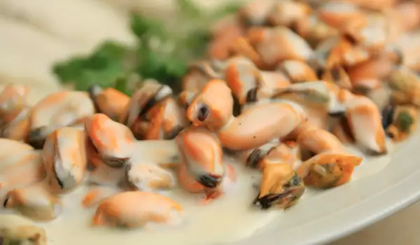 Mussels with Mushrooms and Red Wine Sauce