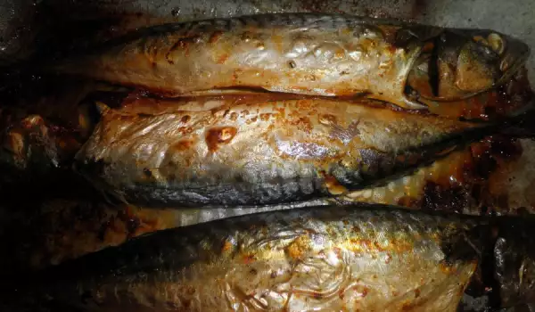 Natural Oven Grilled Mackerel