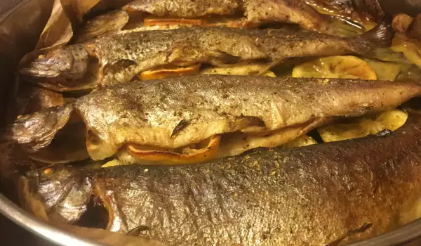 Baked Trout with White Wine