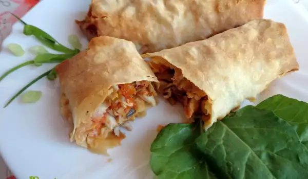 Phyllo Pastry Burritos with Chicken