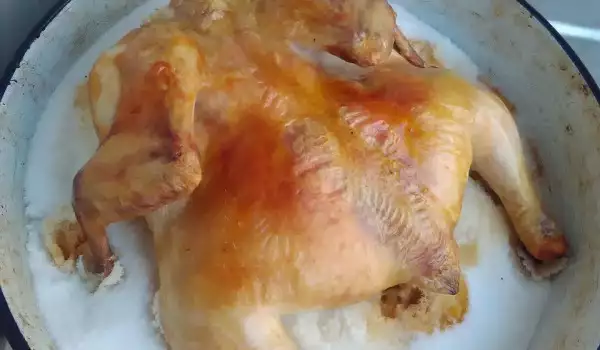 Chicken on Top of Salt in the Oven