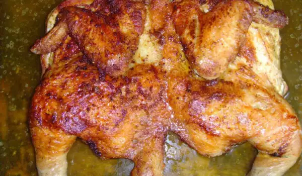 Tasty Chicken Tabaka