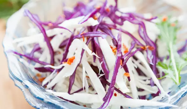 Dutch Salad of Red and White Cabbage