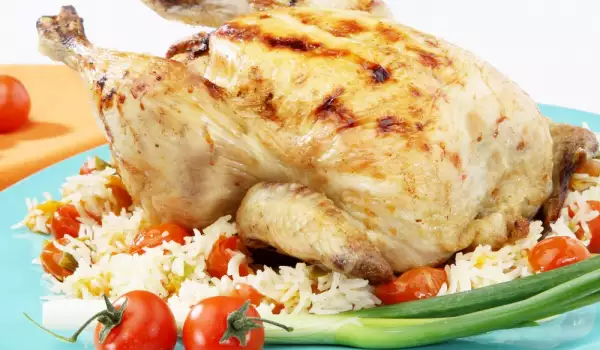 Turkish Chicken