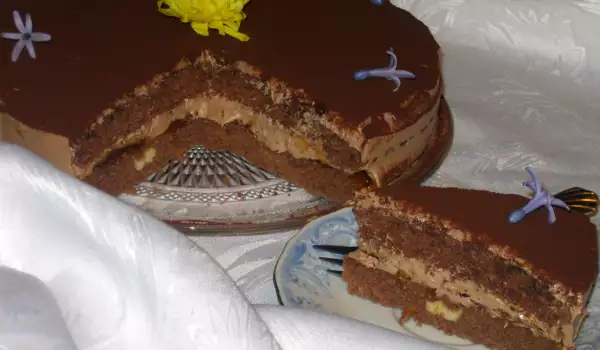 Chocolate-Apricot Cake