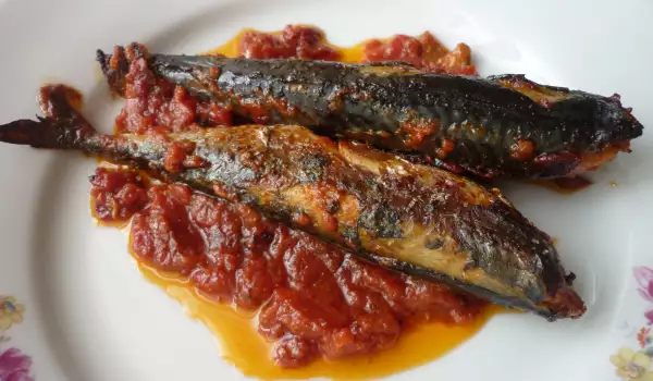 Mackerel in Tomato Sauce