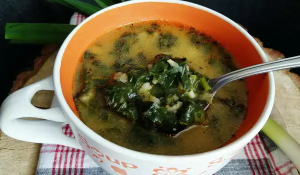 Spinach Soup with Milk