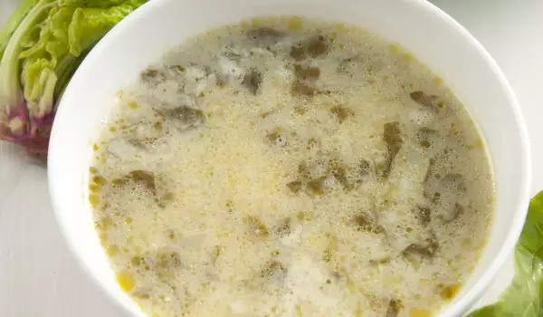 Dock and Nettle Soup with Rice
