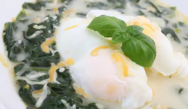 Poached Eggs with Nettle