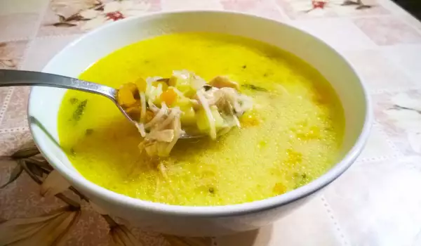 Chicken Soup with Vermicelli and Celery