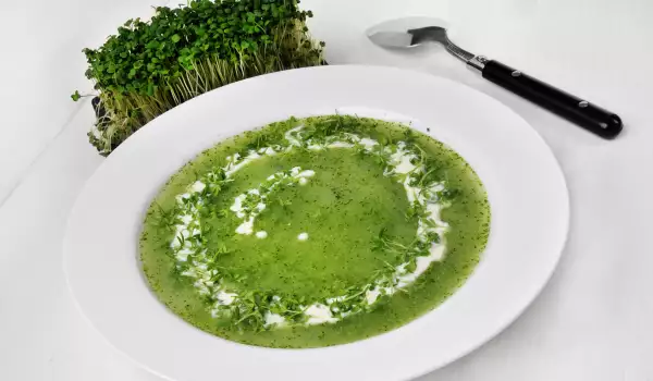 Spinach Soup with Rice